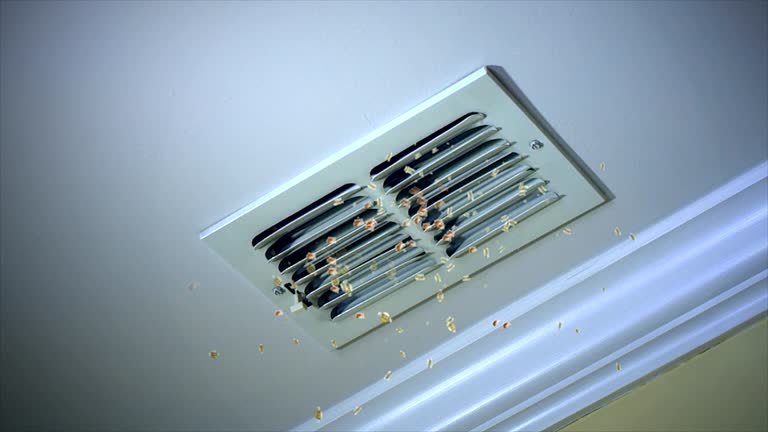 Best Local Air Duct Cleaning Services  in Huntgburg, IN